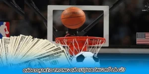 Cá Cược Bóng Rổ GO88: Kịch Tính Từng Phút Với Tỷ Lệ Thưởng Cao