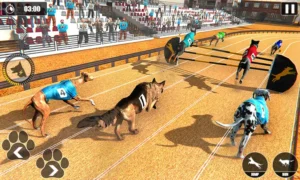 Cách Chơi Game Nhanh Đua Chó Tại GO88 Để Thắng Thưởng Lớn