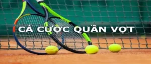 Cá Cược Quần Vợt GO88: Kịch Tính Từng Điểm Số Với Tỷ Lệ Thưởng Cao